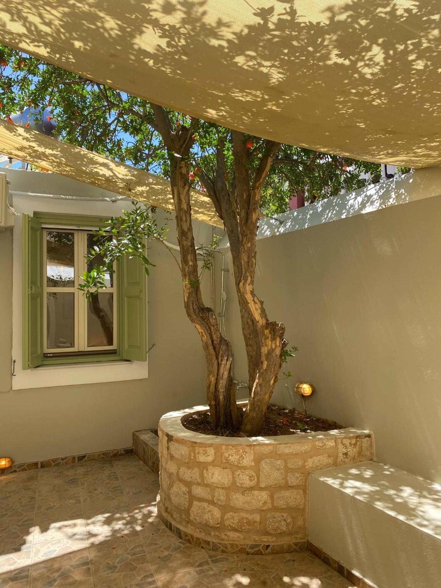 Villa Theoni Chalki Town Exterior foto